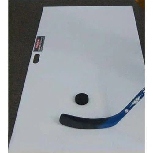Synthetic Hockey Rink